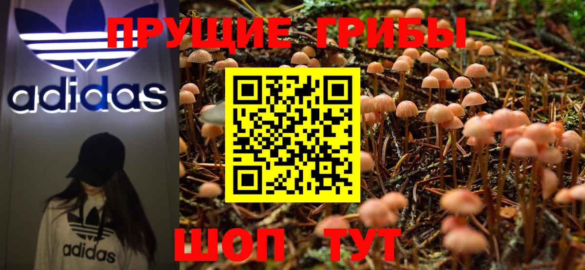 Сланцы  Галлюциногенные грибы Magic Shrooms  Вход с VPN 